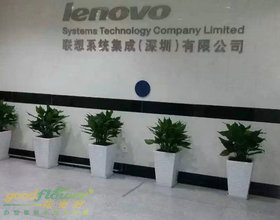 聯(lián)想植物租擺服務(wù)